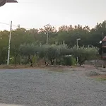 Degli Ulivi 3*