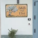 Degli Ulivi