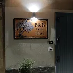 Degli Ulivi ベッド・アンド・ブレックファスト 3*