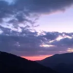 Degli Ulivi 3* Martirano