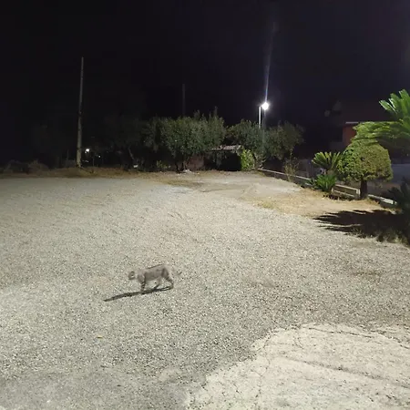 Degli Ulivi Frühstückspension