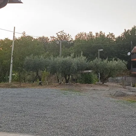 Degli Ulivi 3*