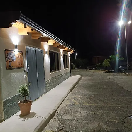 Alojamento de Acomodação e Pequeno-almoço Degli Ulivi