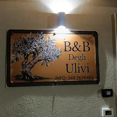 Degli Ulivi Alojamento de Acomodação e Pequeno-almoço Martirano