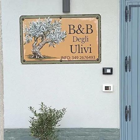 Degli Ulivi