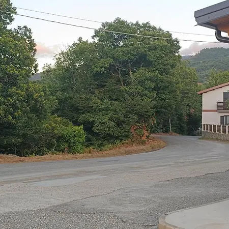 Alojamento de Acomodação e Pequeno-almoço Degli Ulivi 3*