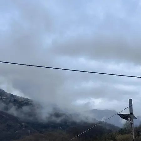Degli Ulivi Martirano