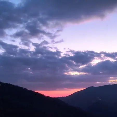 Degli Ulivi 3* Martirano