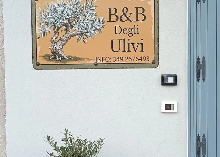 Degli Ulivi