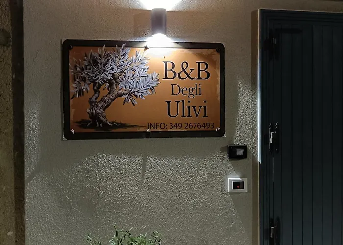 Degli Ulivi Panzió 3*